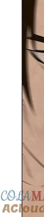 第441页