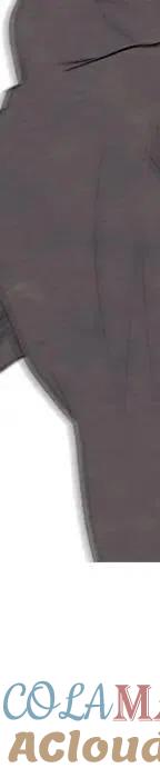 第181页