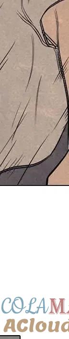 第245页