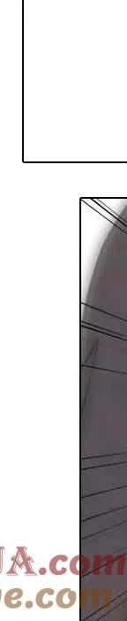 第341页