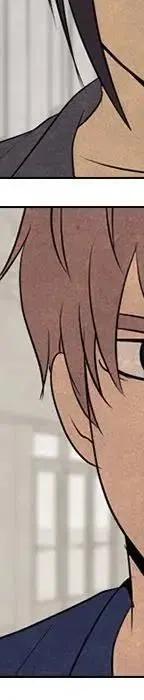 第482页