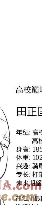 第493页