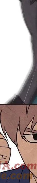 第217页