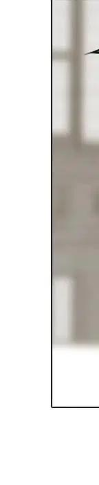 第296页