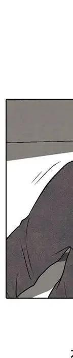 第426页