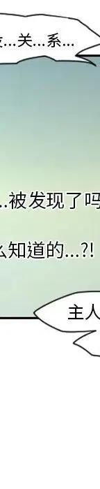 第242页