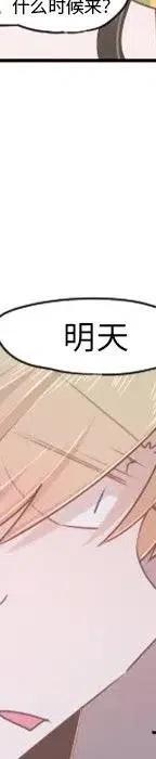 第223页