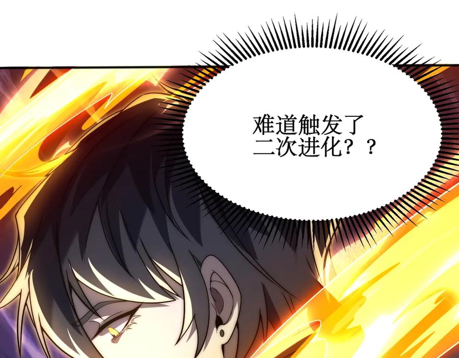 第355页