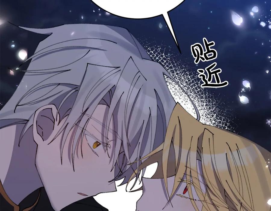 第215页