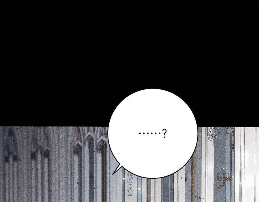 第223页