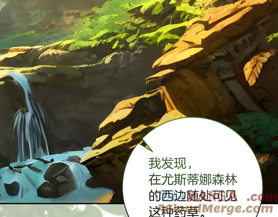 第205页