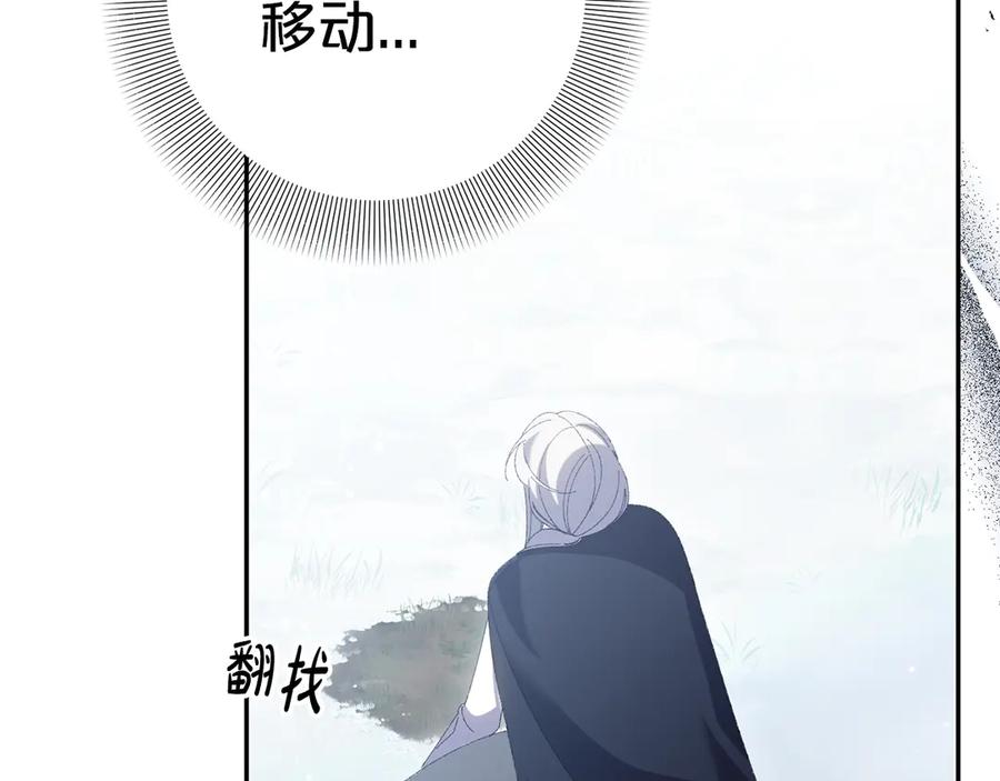 第204页