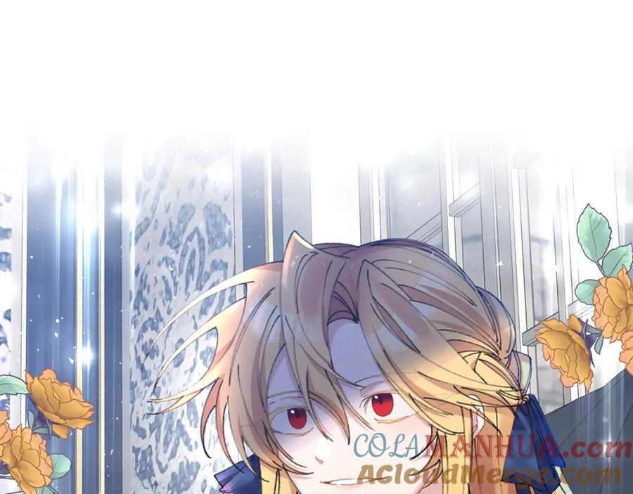 第221页