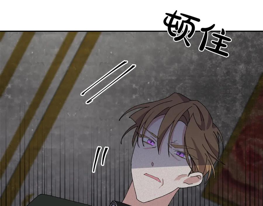 第244页