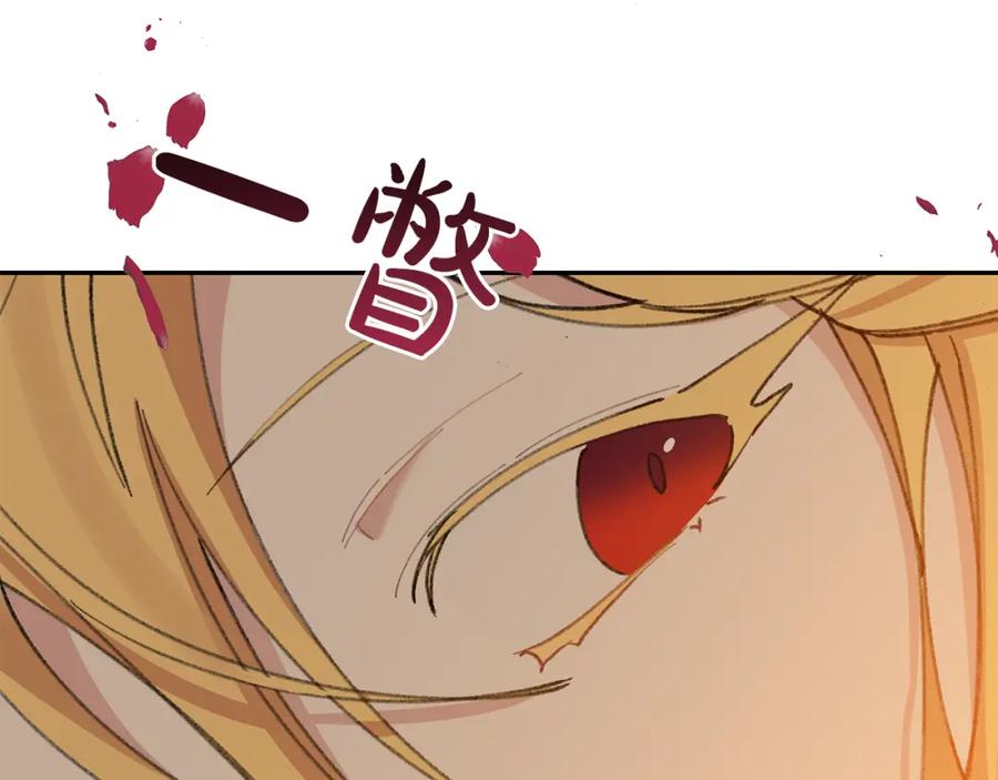第215页