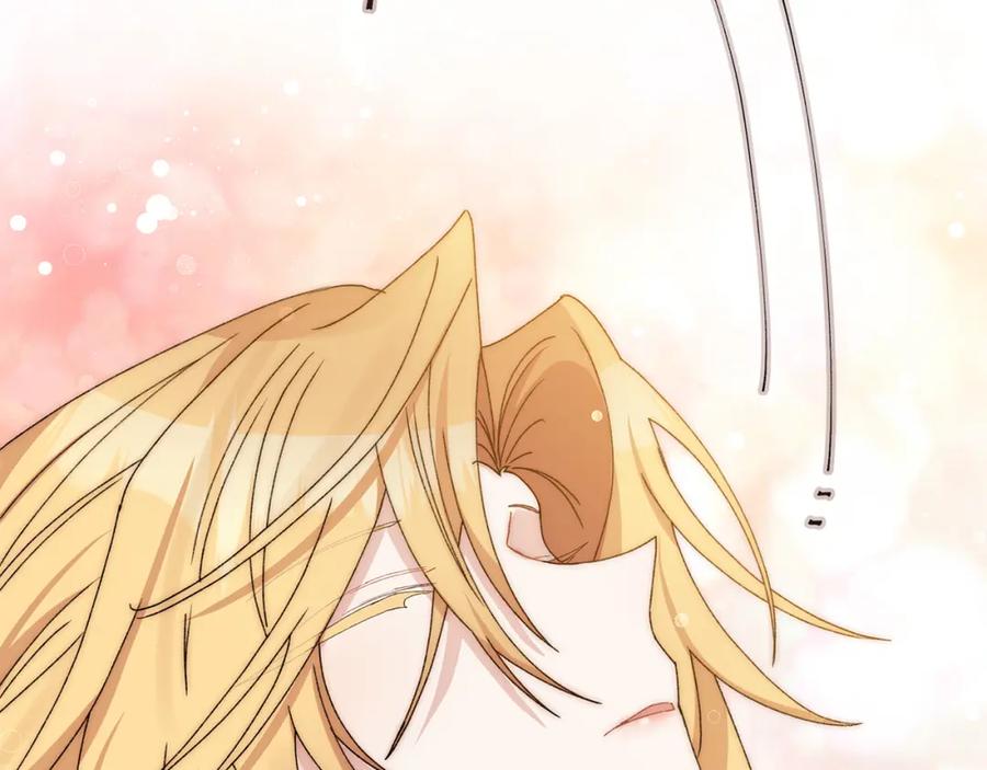 第260页