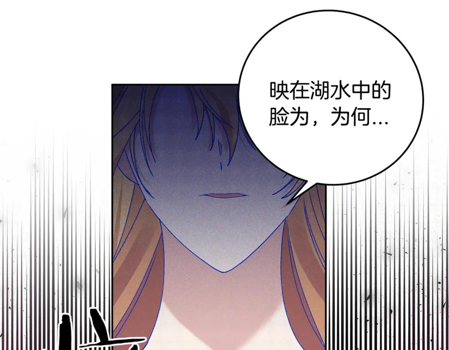 第204页