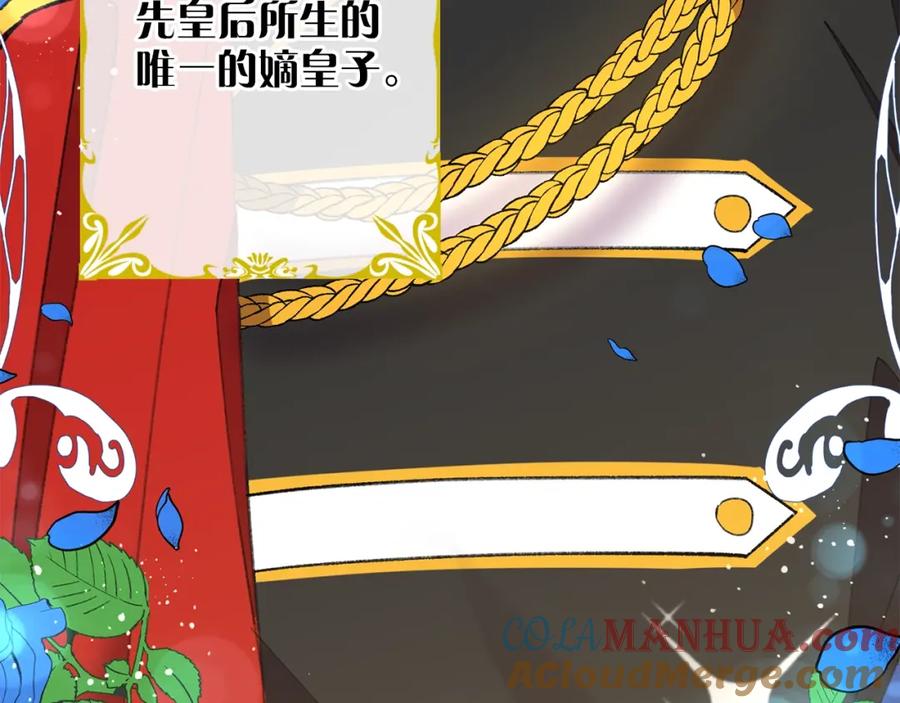 第204页