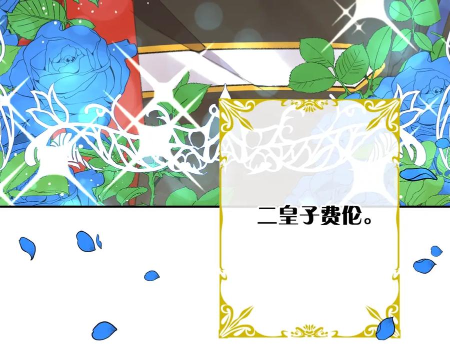 第205页