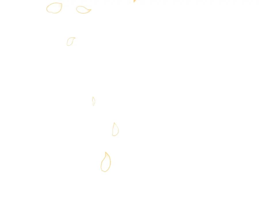 第259页