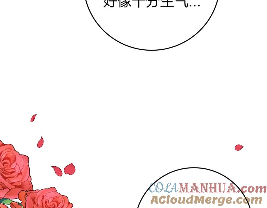 第228页