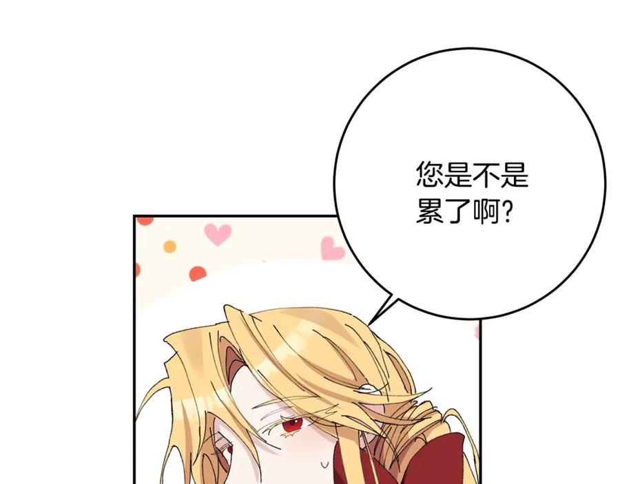 第207页