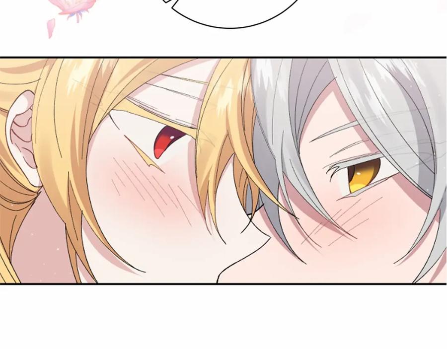 第215页