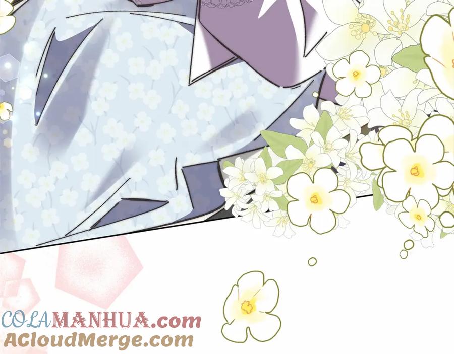 第237页