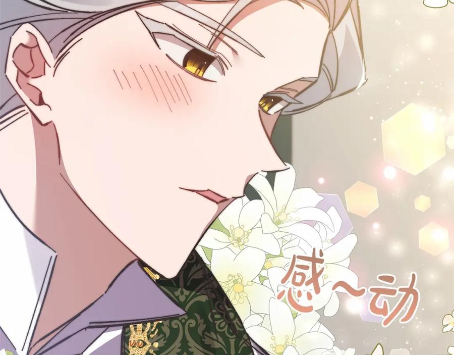 第242页