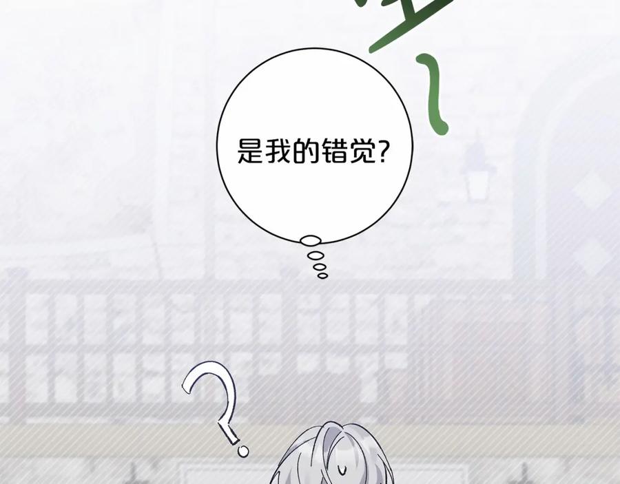 第256页