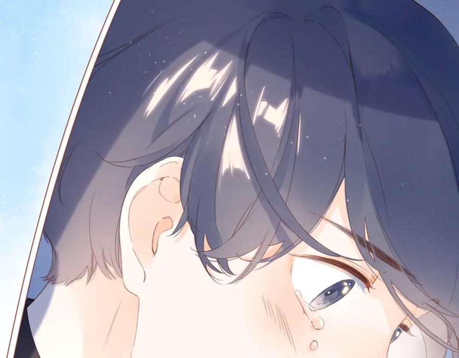 第523页