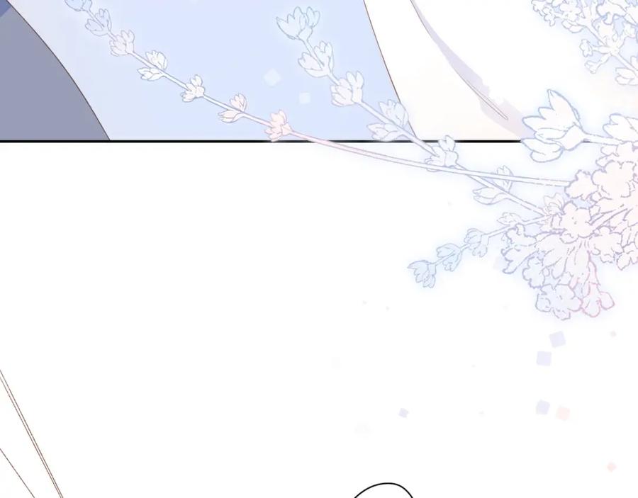 第223页