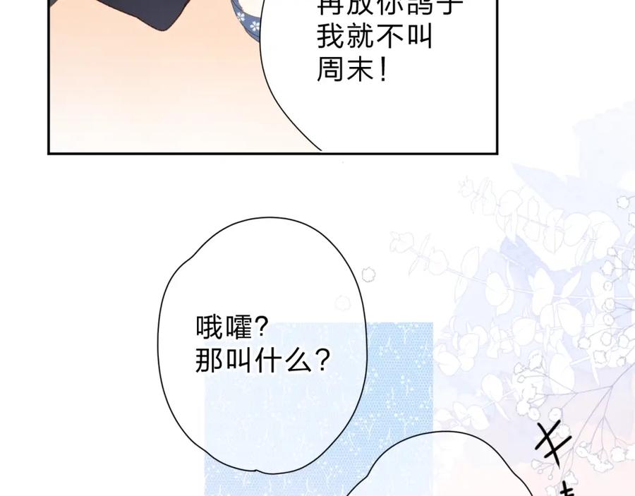 第238页