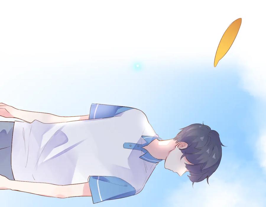 第295页