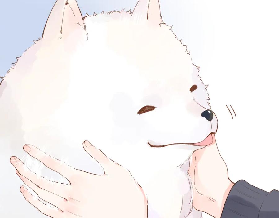 第183页