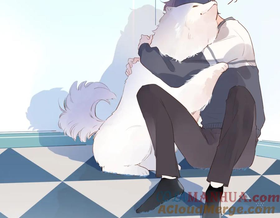 第185页