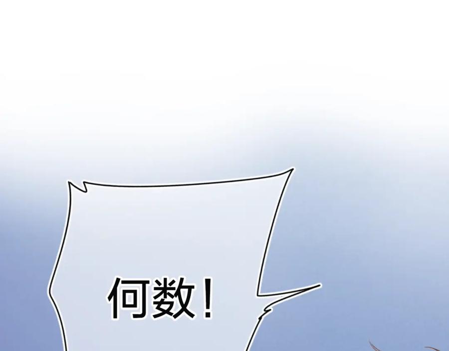 第511页