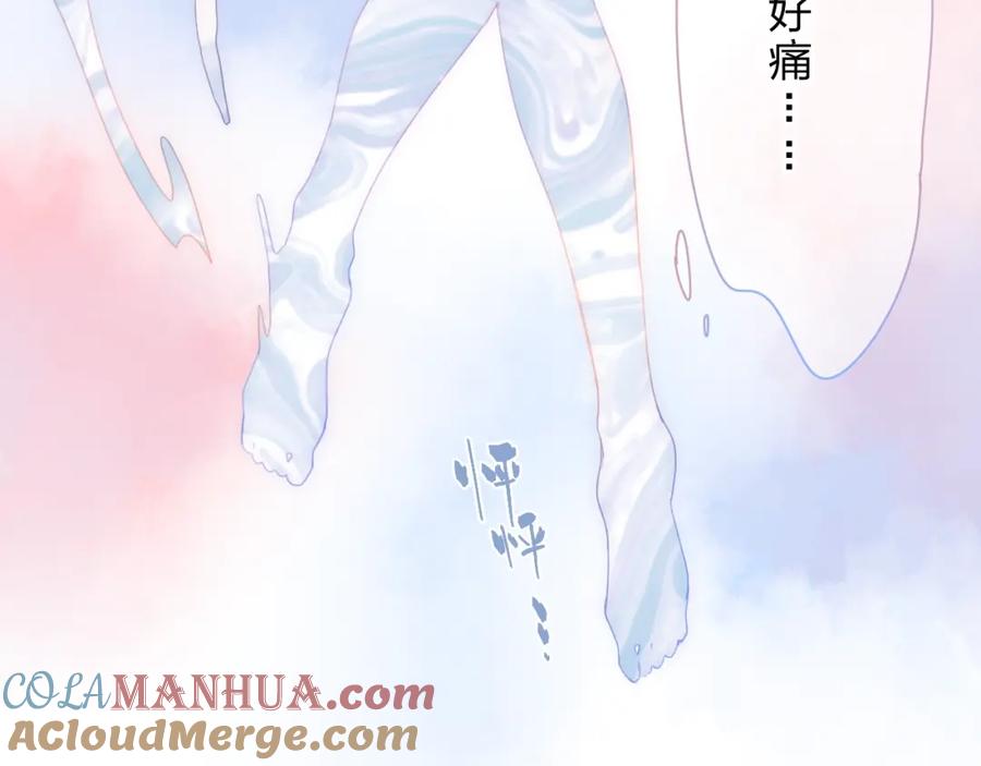 第427页