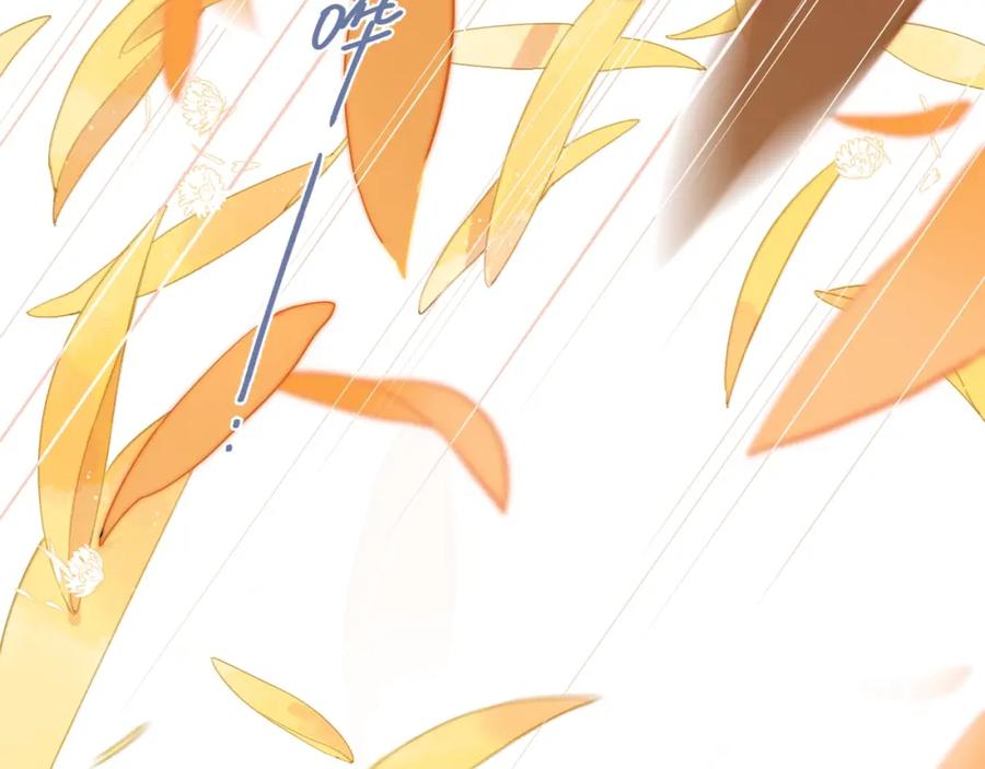第488页