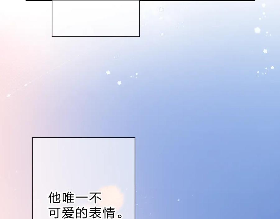 第242页