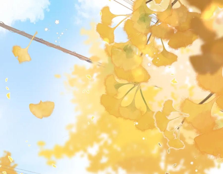 第365页