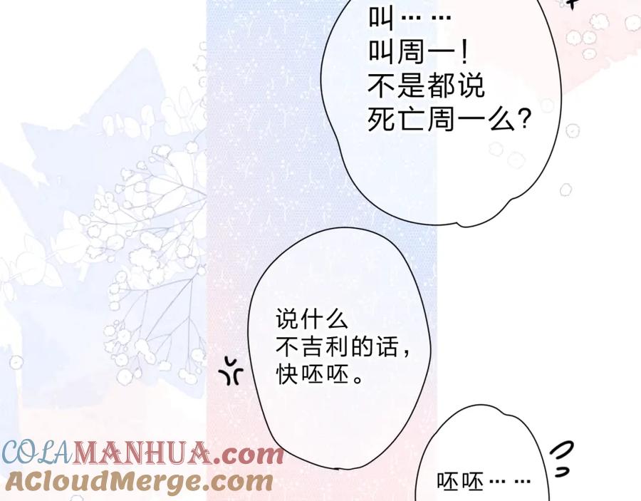第242页