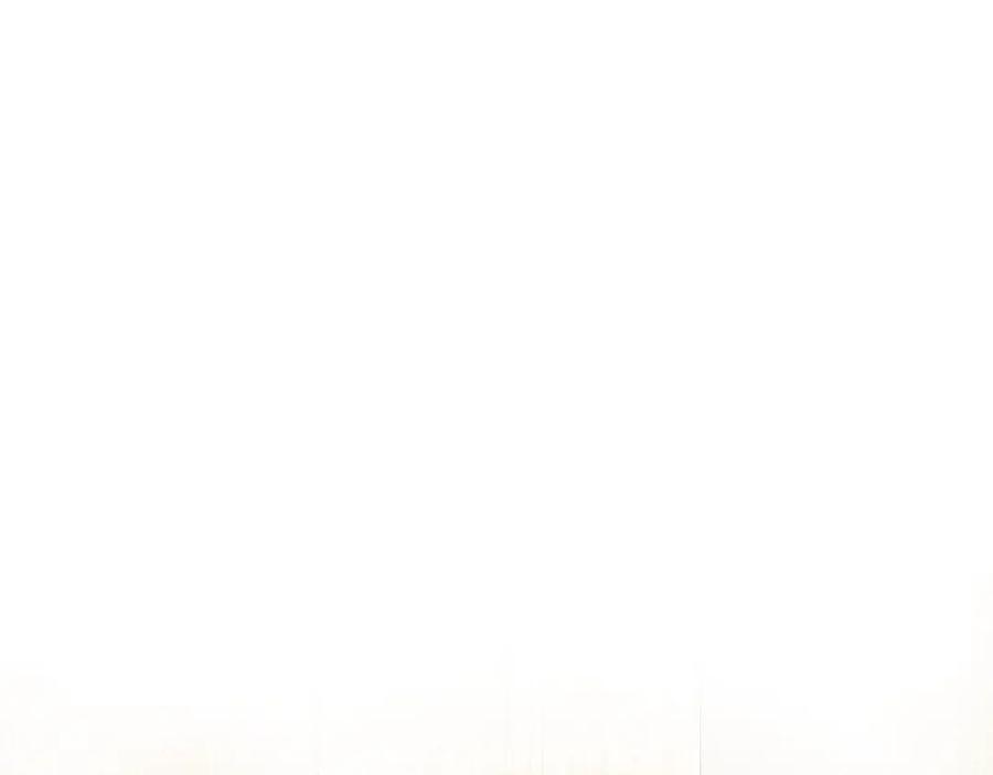 第401页