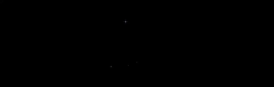第491页