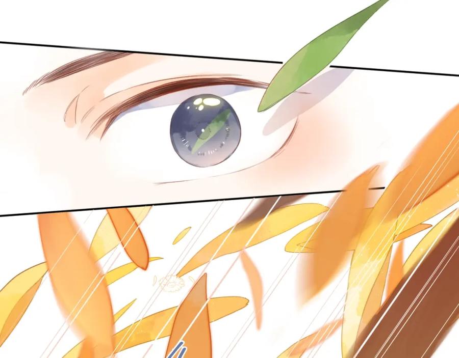 第486页