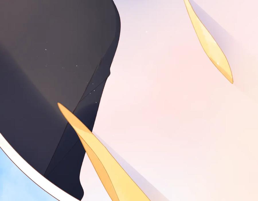 第531页