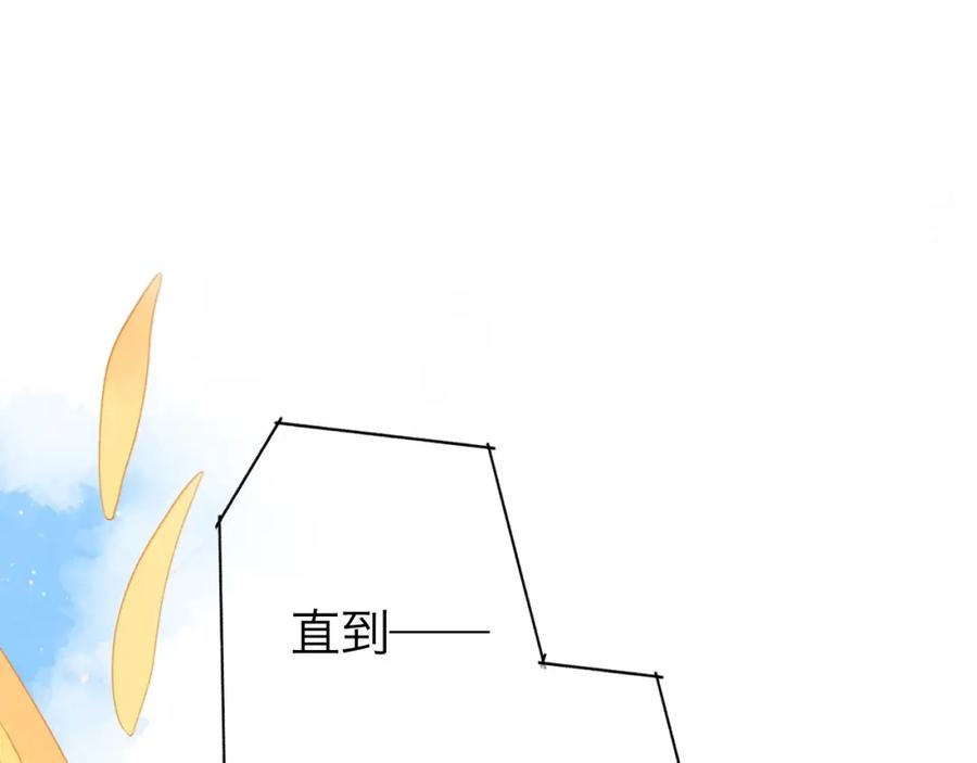 第255页