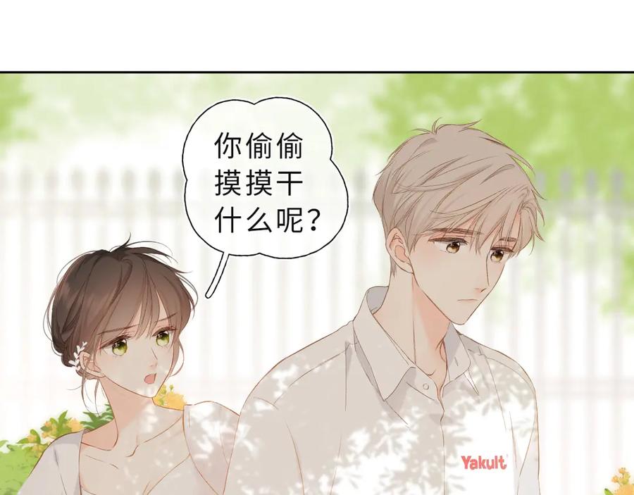 第231页