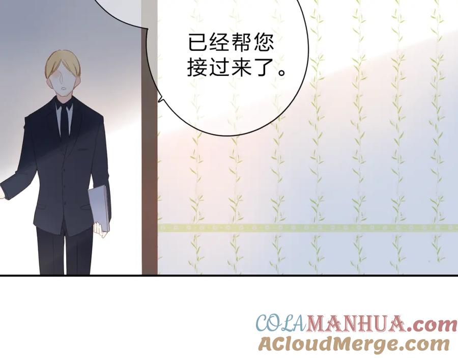 第231页