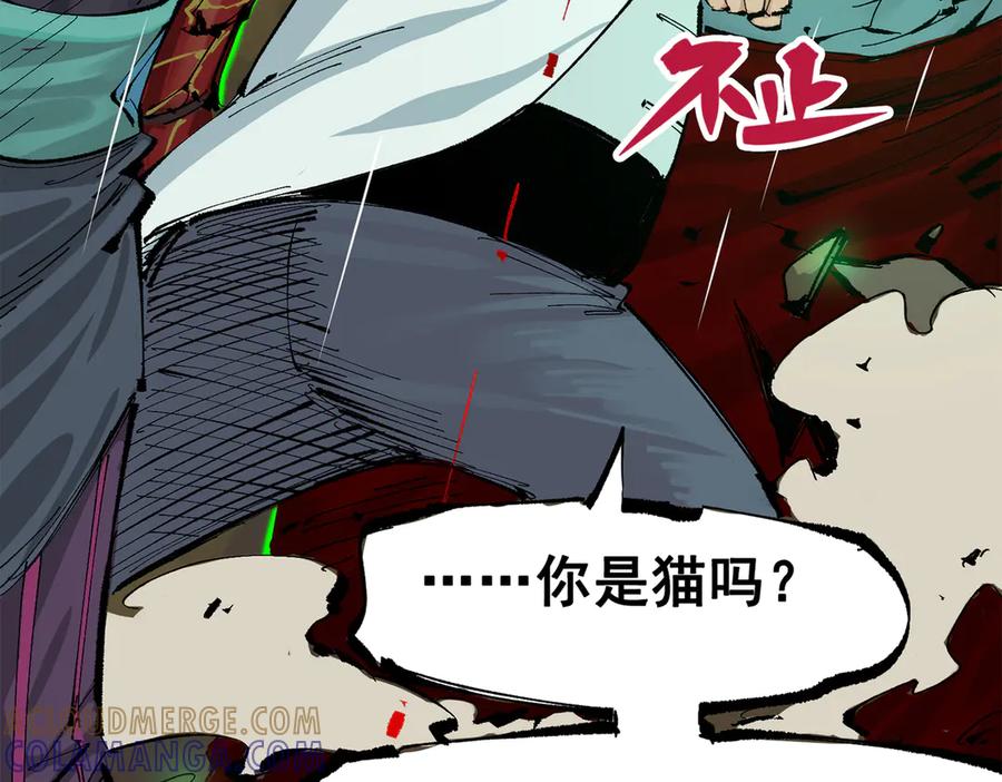 第213页